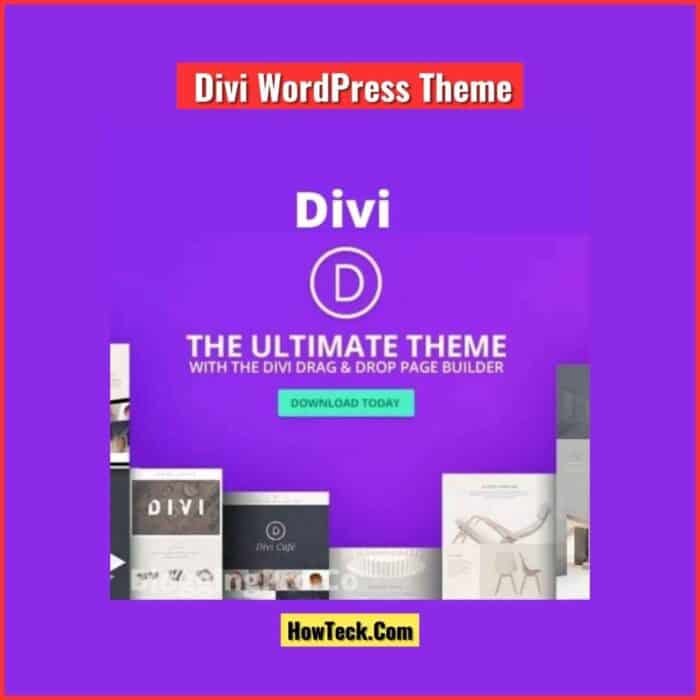 Divi WordPress Theme With API Key